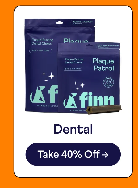 Dental: Shop Now –>