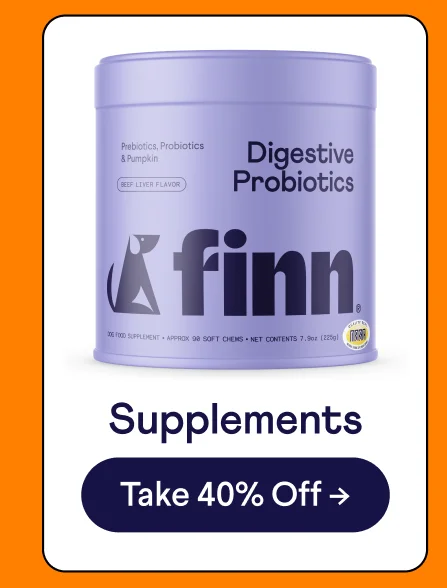 Supplements: Shop Now –>