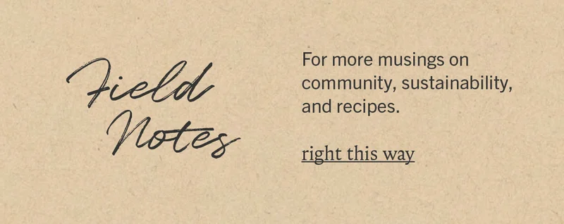 Field Notes
