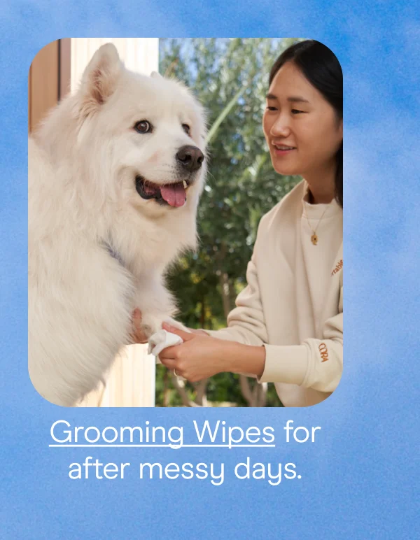 grooming wipes for after messy days.