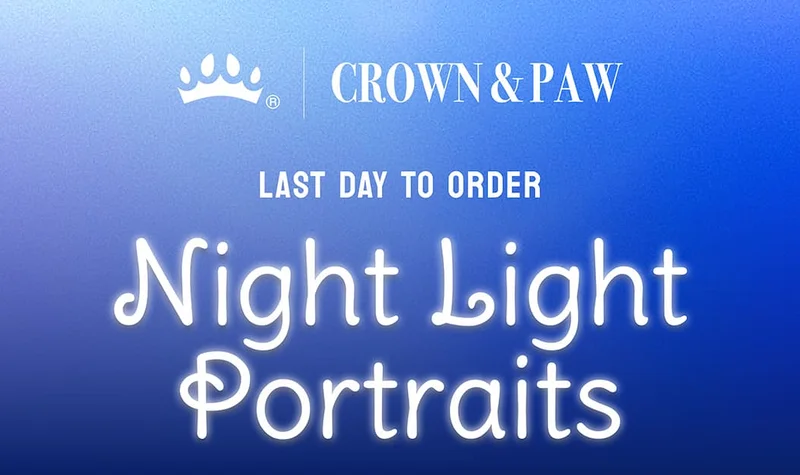 Night Light Portraits - LAST DAY TO ORDER