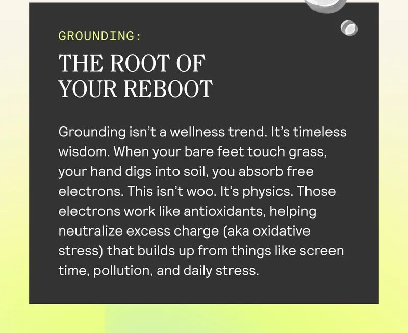 THE ROOT OF  YOUR REBOOT  Grounding isn’t a wellness trend. It’s timeless wisdom. When your bare feet touch grass, your hand digs into soil, you absorb free electrons. This isn’t woo. It’s physics. Those electrons work like antioxidants, helping neutralize excess charge (aka oxidative stress) that builds up from things like screen time, pollution, and daily stress.