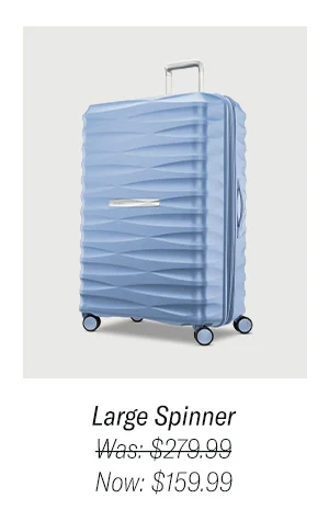 Large Spinner