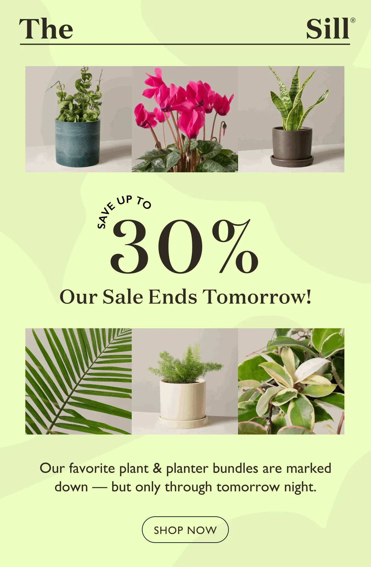 Save up to 30%! Our favorite plant and planter bundles are marked down - but only through tomorrow night.