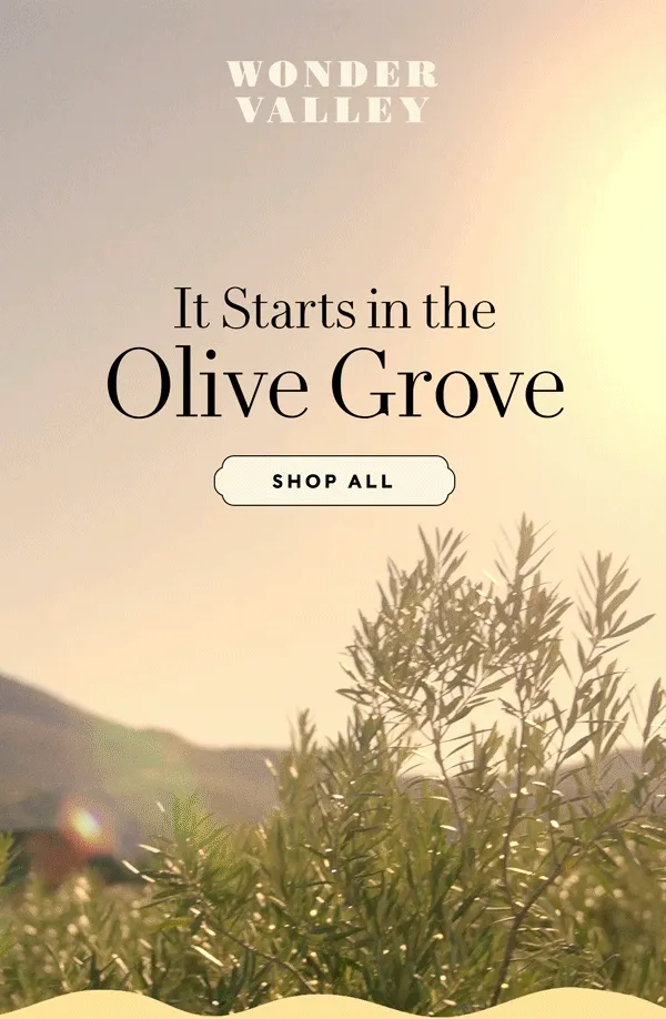 It starts in the olive grove