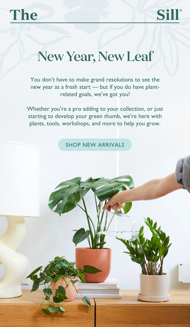 You don’t have to make grand resolutions to see the new year as a fresh start — but if you do have plant-related goals, we’ve got you!