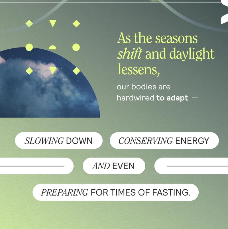 As the seasons shoft and daylight lessens, our bodies are hardwired to adapt
