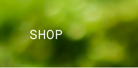Green blurred background with the word ‘SHOP’ in white capital letters centered on the image.