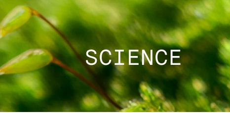 Close-up of small green plant stems against a soft-focus green background with the word ‘SCIENCE’ in white text.