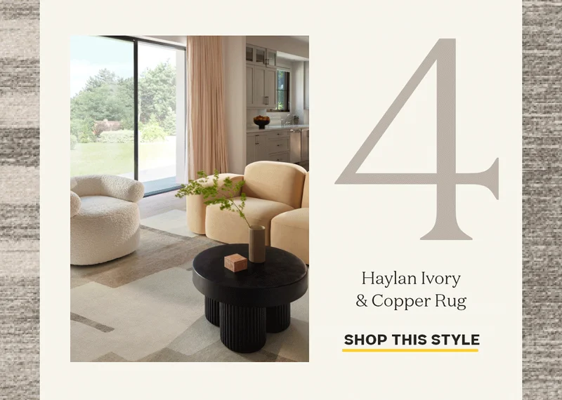 Haylan Ivory Copper Rug