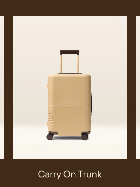 Carry On Trunk