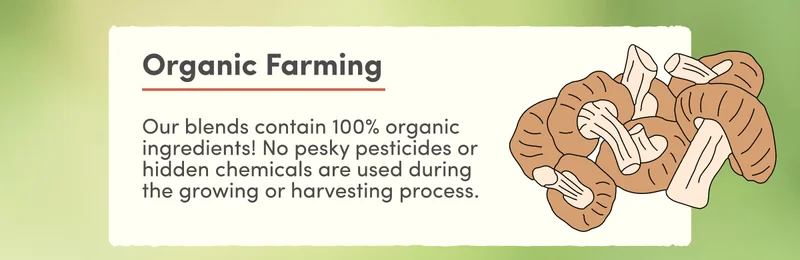 Organic Farming | Our blends contain 100% organic ingredients! No pesky pesticides or hidden chemicals are used during the growing or harvesting process.