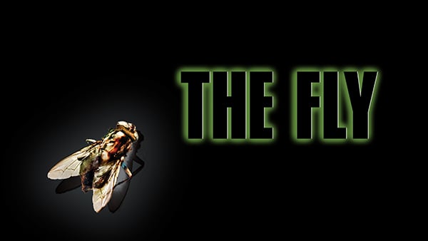 The Fly