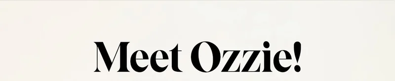 Meet Ozzie!