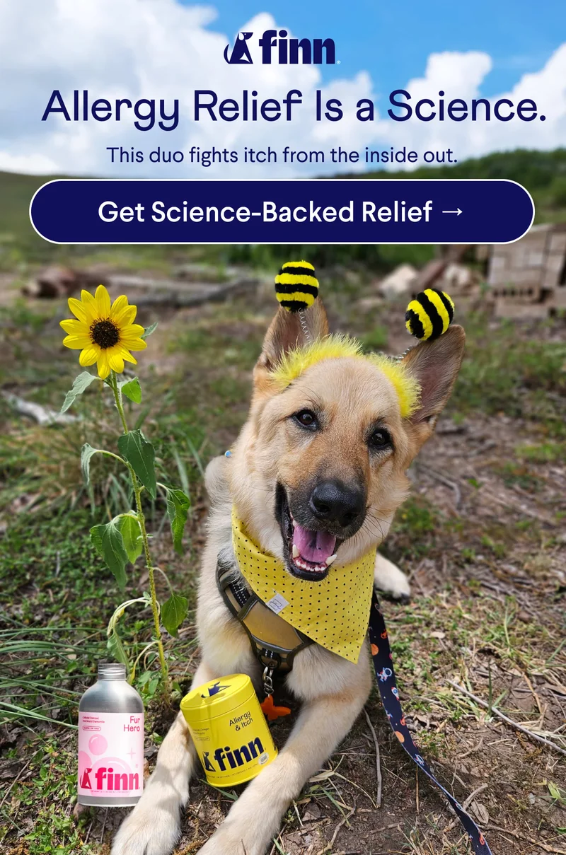 Finn logo. Text: Allergy Relief Is a Science. This duo fights itch from the inside out. CTA: Get Science-Backed Relief →