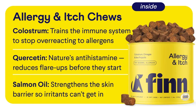 Text: Inside: Allergy & Itch Chews – Colostrum: Trains the immune system to stop overreacting to allergens.  Quercetin: Nature’s antihistamine — reduces flare-ups before they start.  Salmon Oil: Strengthens the skin barrier so irritants can’t get in.