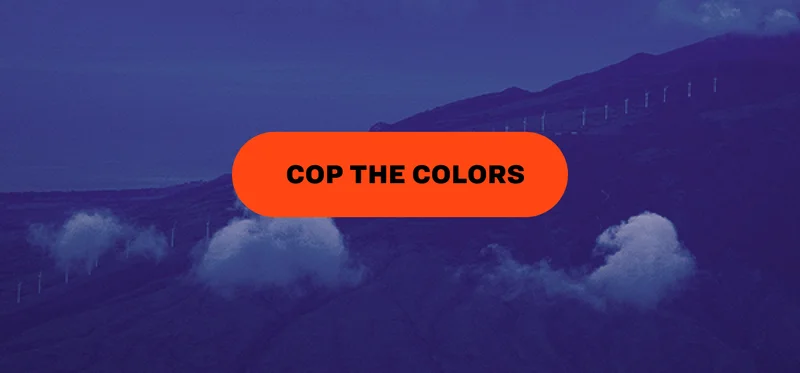 COP THE COLORS