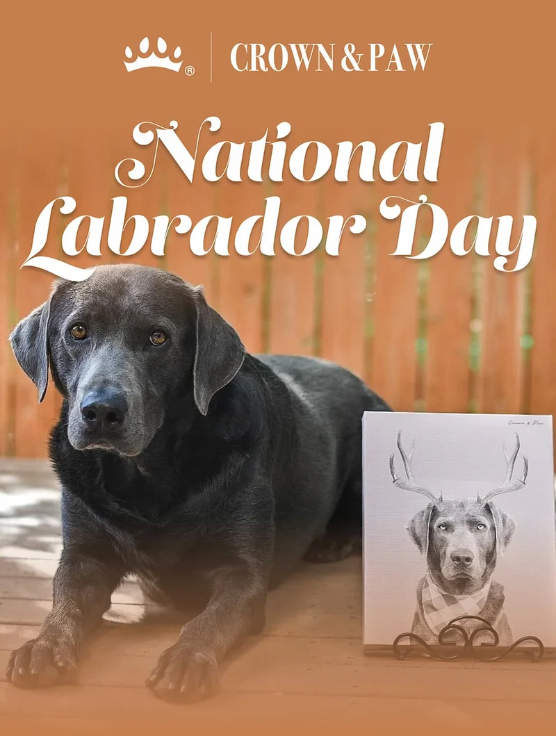 National Labrador Day