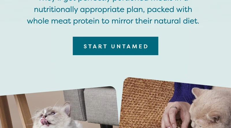 Start Untamed
