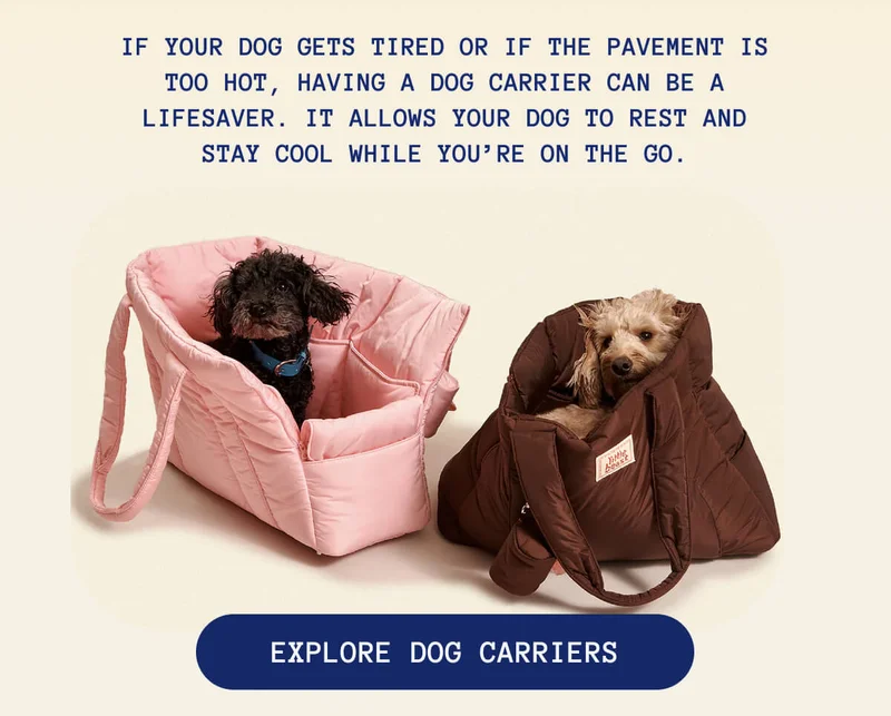 Explore Dog Carriers