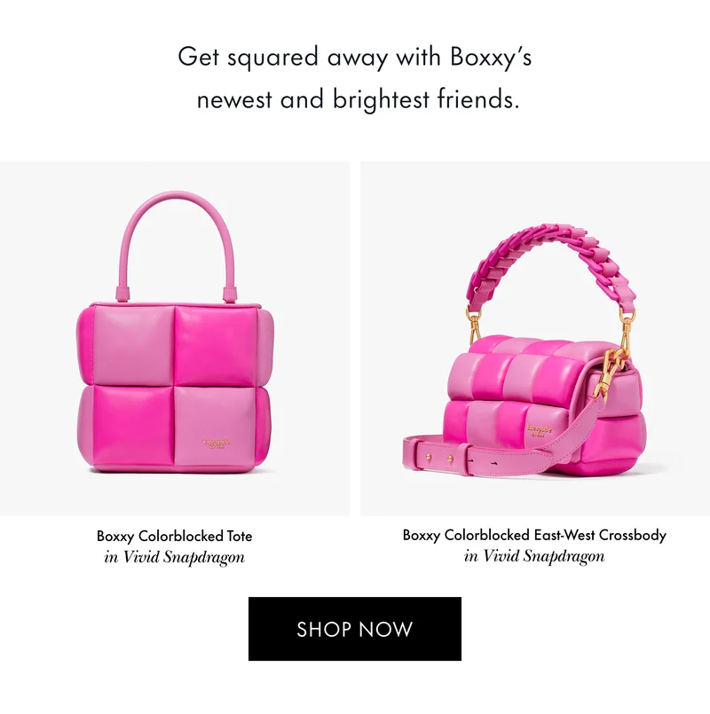 Get squared away with Boxxy's newest and brightest friends.