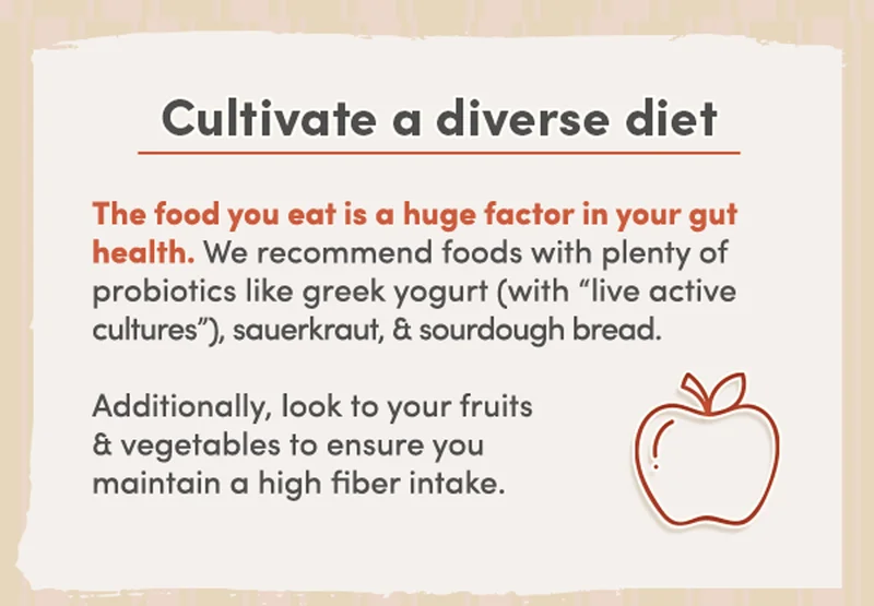 Cultivate a diverse diet | The food you eat is a huge factor in your gut health. We recommend foods with plenty of probiotics like greek yogurt (with “live active cultures”), sauerkraut, and sourdough bread. Fermented foods are go-tos here! Additionally, look to your fruits and vegetables to ensure you maintain a high fiber intake.