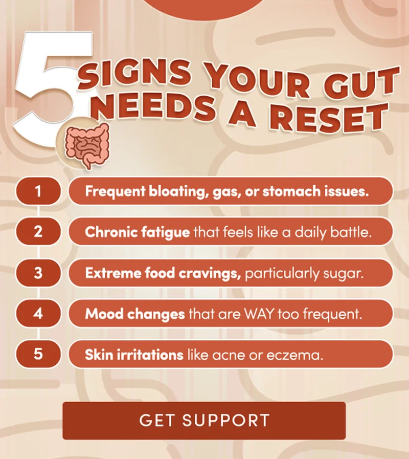 5 Signs Your Gut Needs Reset | Frequent bloating, gas, or stomach issues Chronic fatigue that feels like a daily battle Extreme food cravings, particularly sugar Mood changes that are WAY too frequent Skin irritations like acne or eczema | Get Support