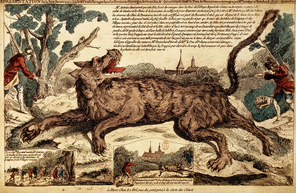 In this 18th-century engraving, a royal huntsman, François Antoine, kills the wolf believed to be the beast in 1765. Two months later, the beast returned to terrorize France again.
