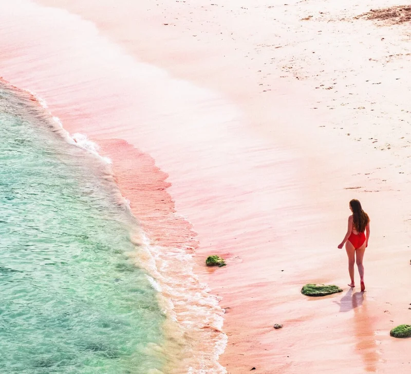 Image Description: A female traveler in a red swimsuit exploring the famous Pink Beach in Komodo National Park, Indonesia