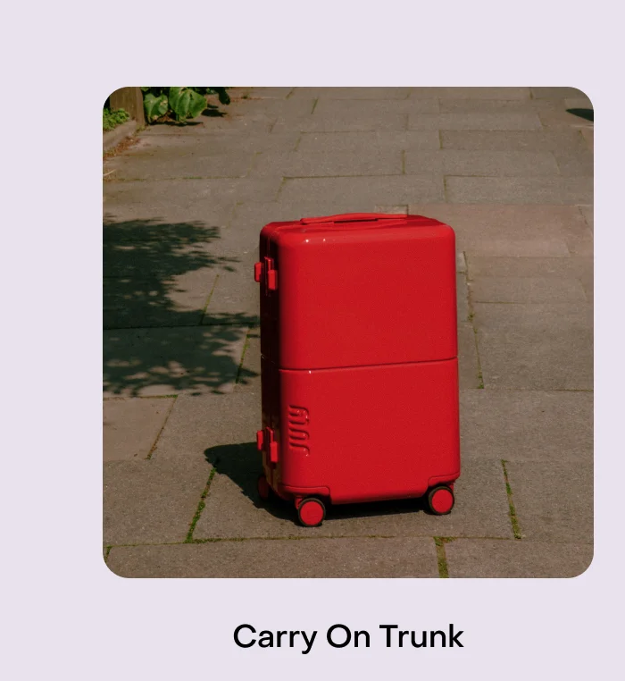 Carry On Trunk