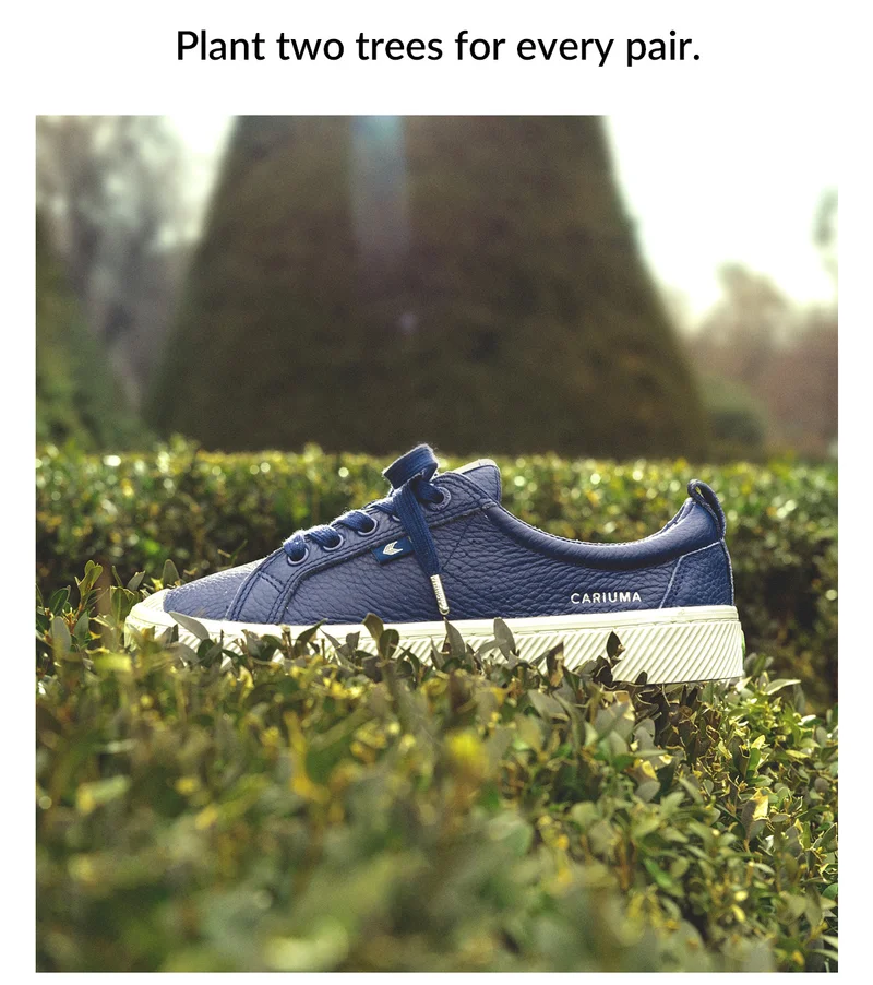 Canvas Oca Low