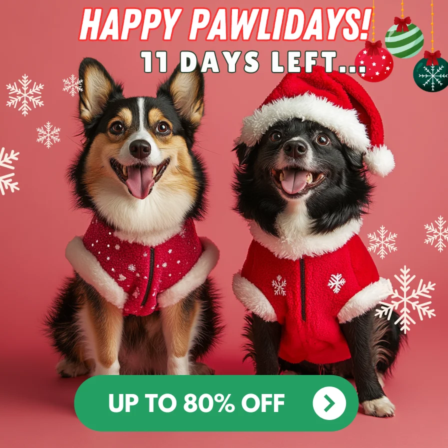 Pawlidays Custom Socks