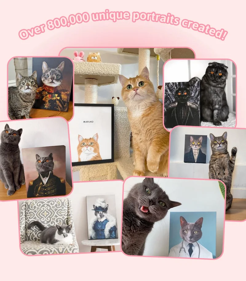 Collage of cat portraits