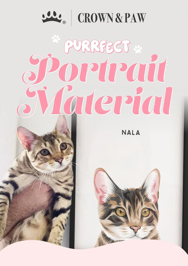 Purrfect Portrait Material