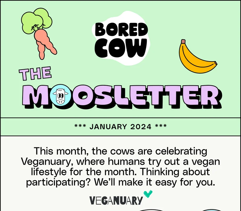The Moosletter. January 2024. This month, the cows are celebrating Veganuary, where humans try out a vegan lifestyle for the month. Thinking about participating? We’ll make it easy for you.