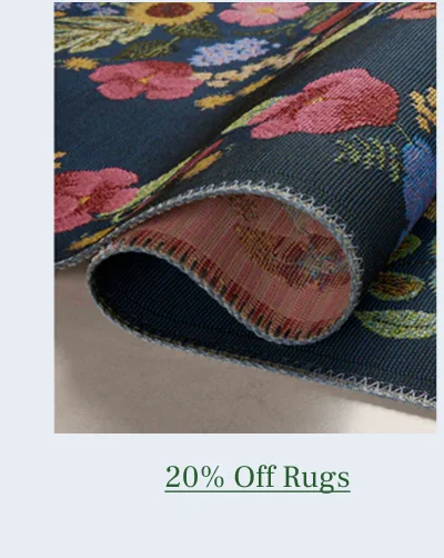 Shop Rugs