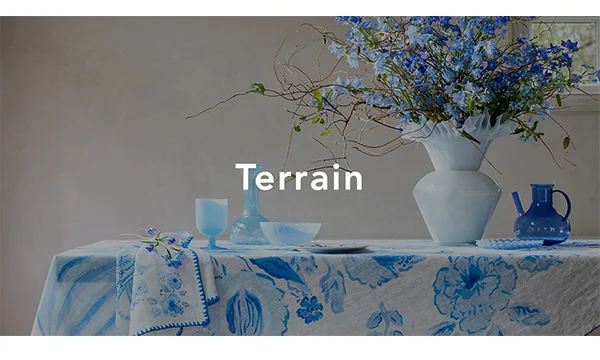 Terrain