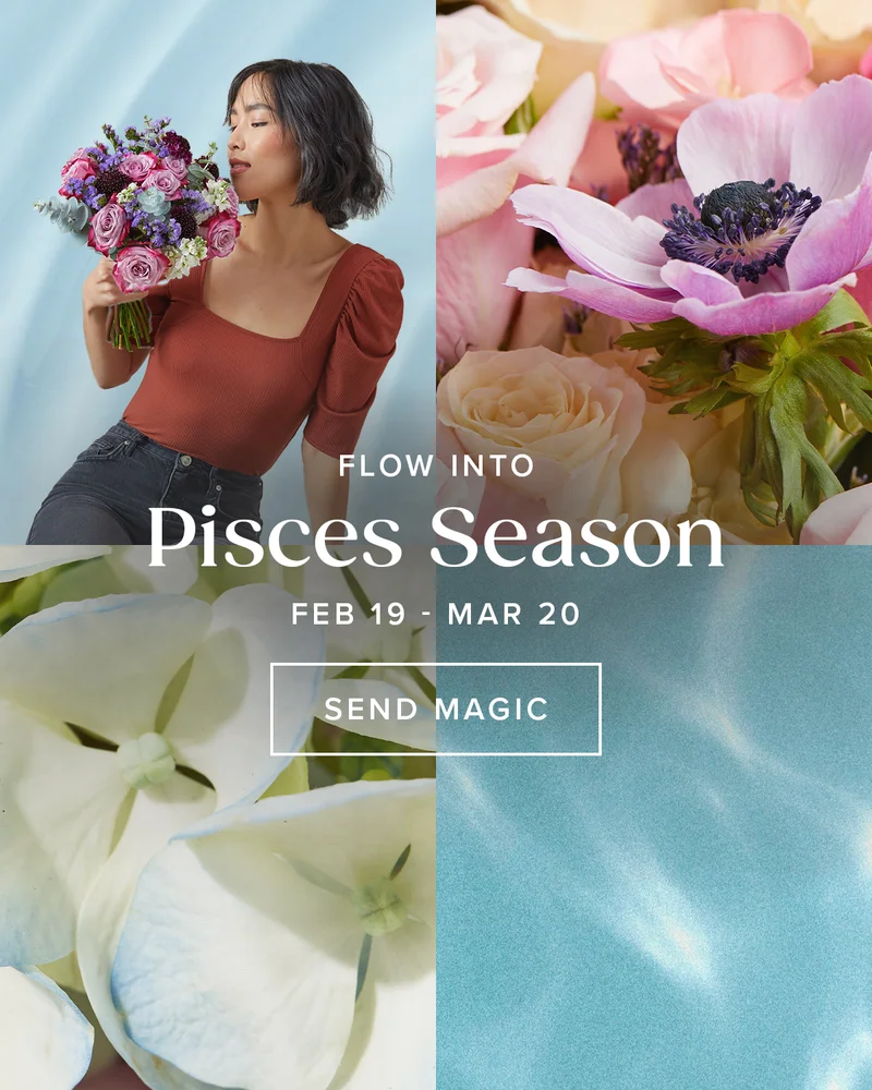 Flow Into Pisces Season (Feb. 19 - Mar 20). Send Magic.