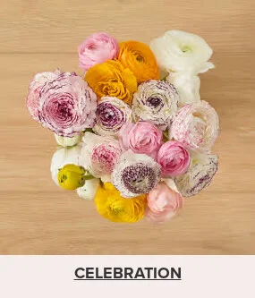 Flowers At a Great Price