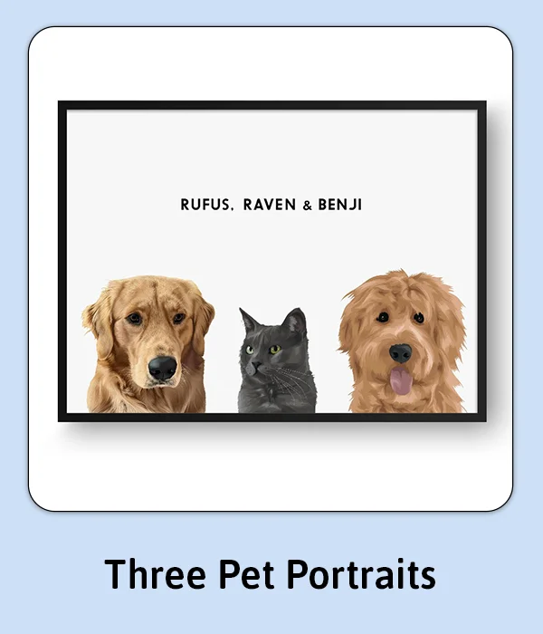 Three Pet Portraits