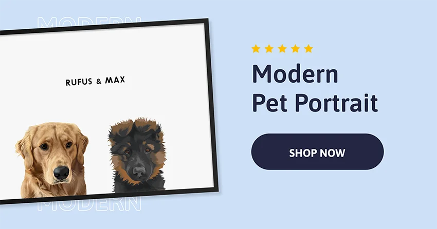 Modern Pet Portrait