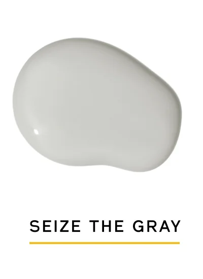 SEIZE THE GRAY