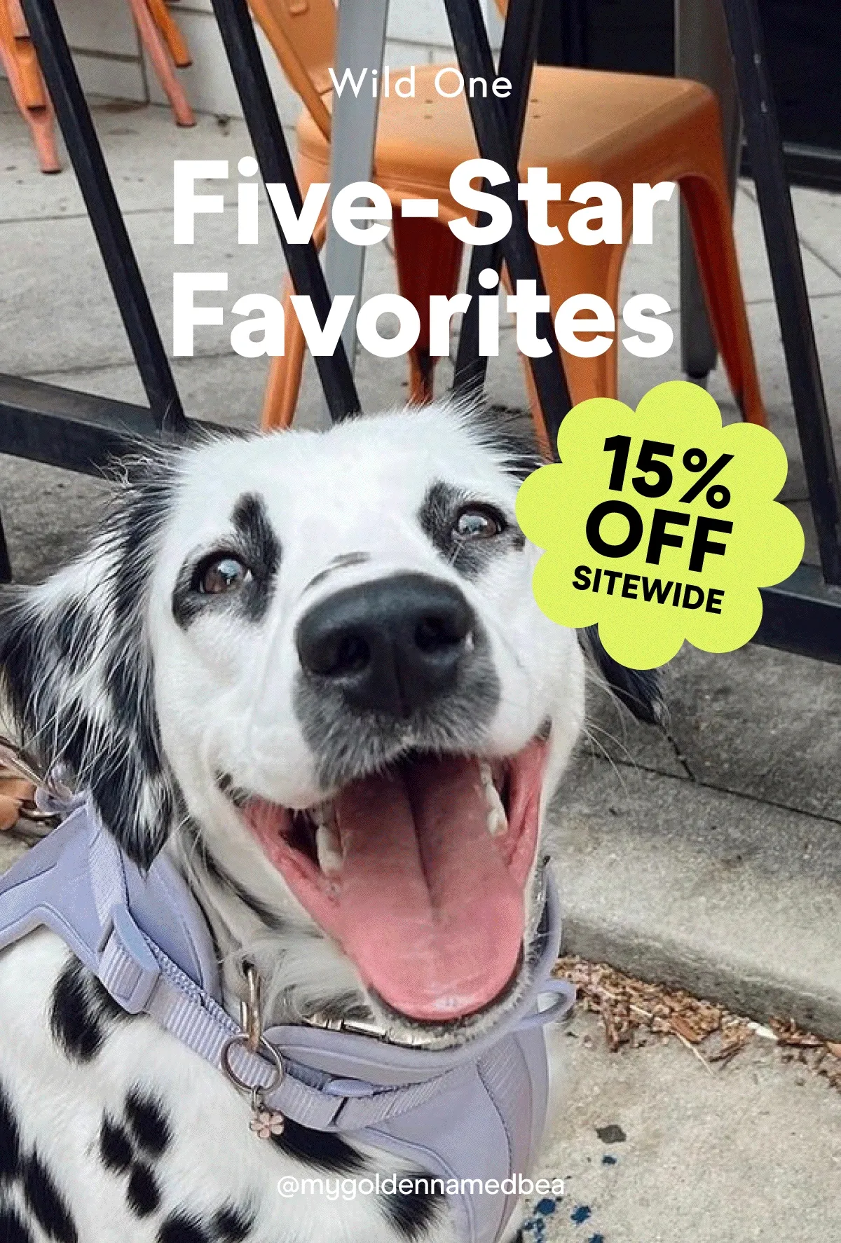 Five-Star Favorites