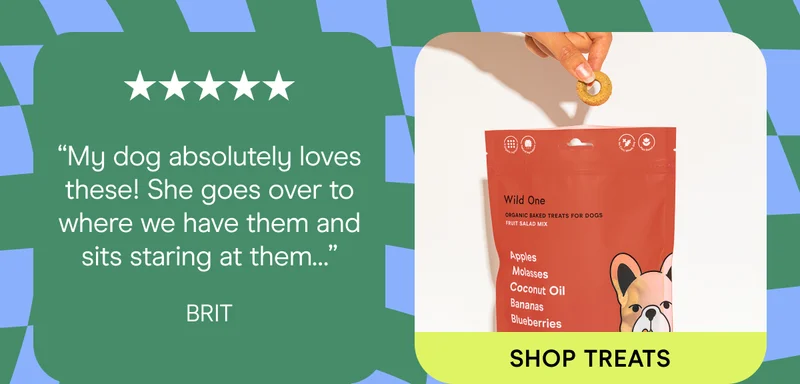 “My dog absolutely loves these! She goes over to where we have them and sits staring at them…” Brit