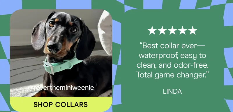 “Best collar ever—waterproof, easy to clean, and odor-free. Total game changer.” Linda