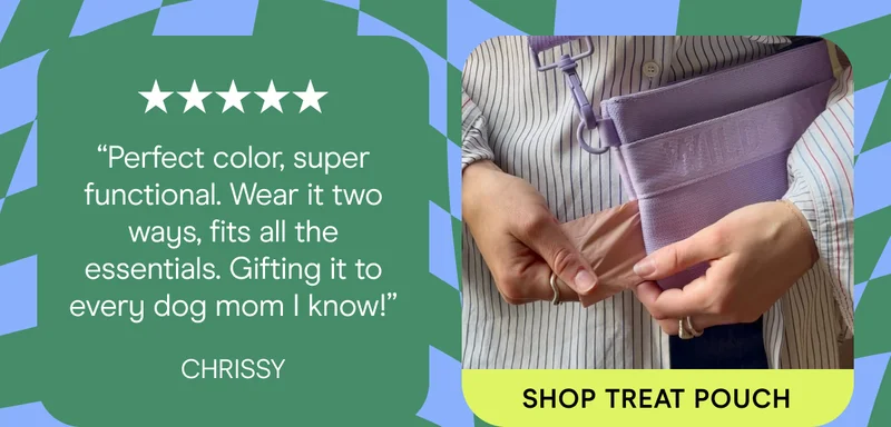 “Perfect color, super functional. Wear it two ways, fits all the essentials. Gifting it to every dog mom I know!” Chrissy