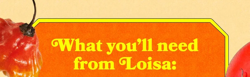 What you’ll need from Loisa: