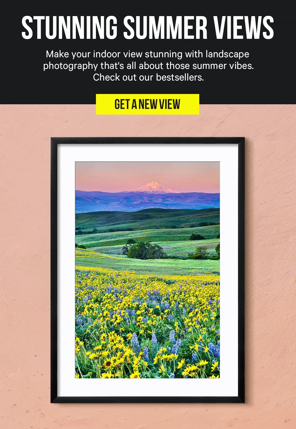 Summer Photography Prints