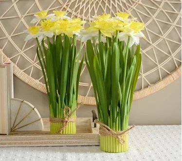 Set of 2 15" Daffodil Bundles by Valerie