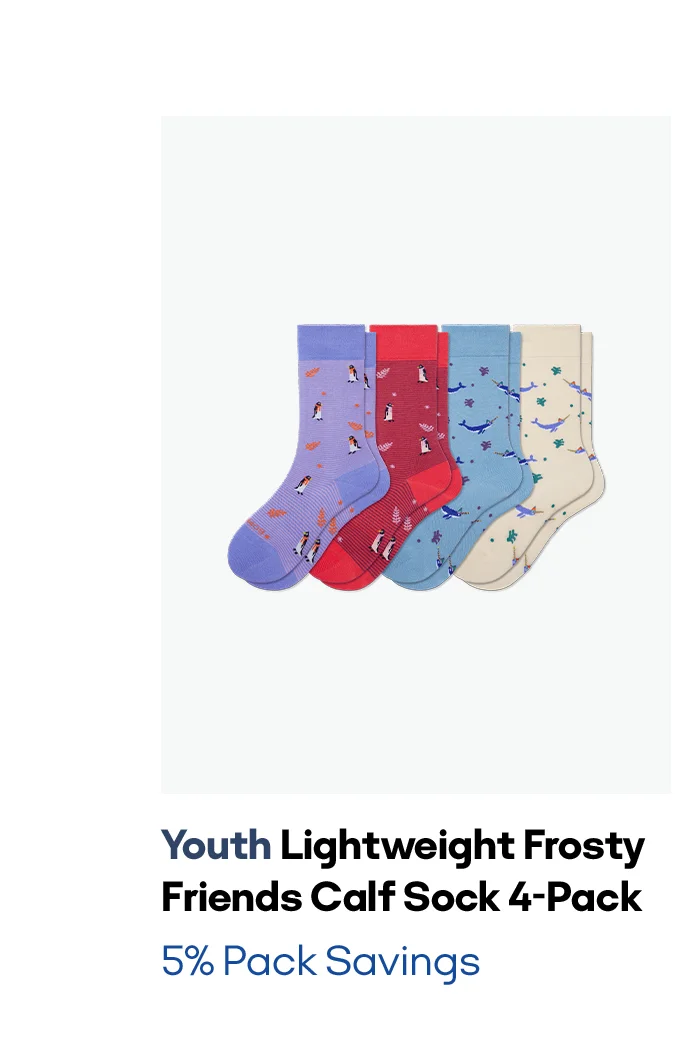 Youth Lightweight Frosty Friends Calf Sock 4-Pack